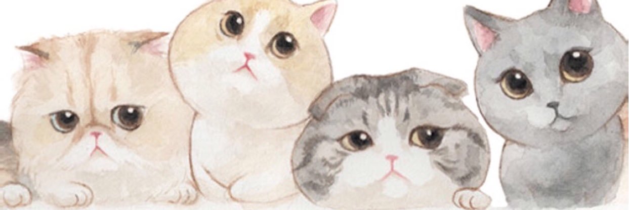peeehh13's profile banner image