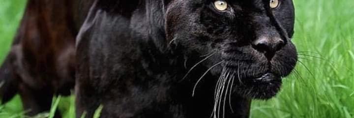 Moowop_88's profile banner image