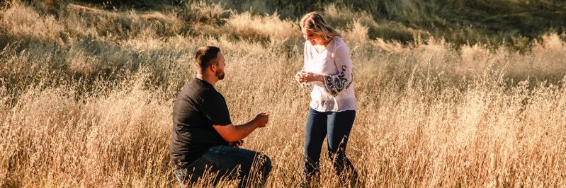 haley_dillard_'s profile banner image
