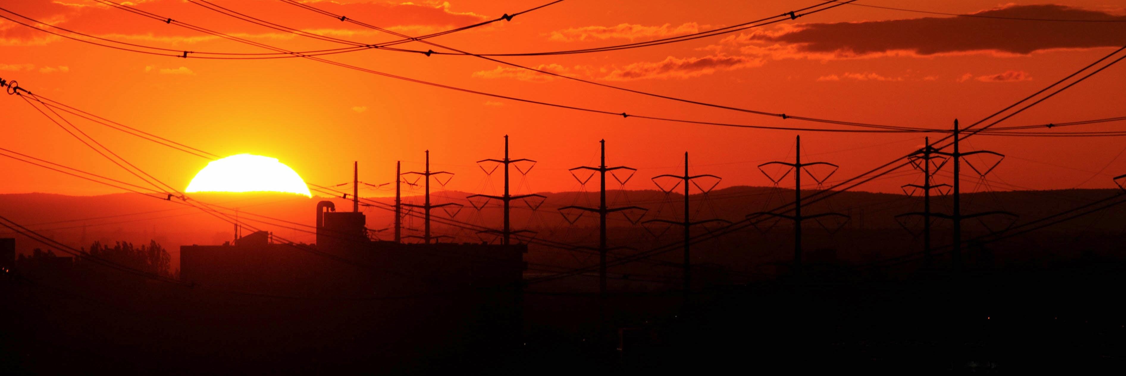 Octavio Real banner