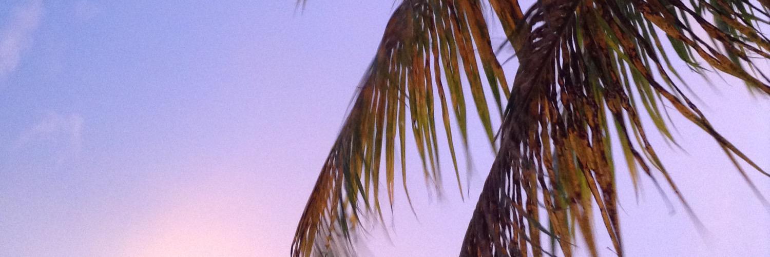 SaraVictoria99's profile banner image