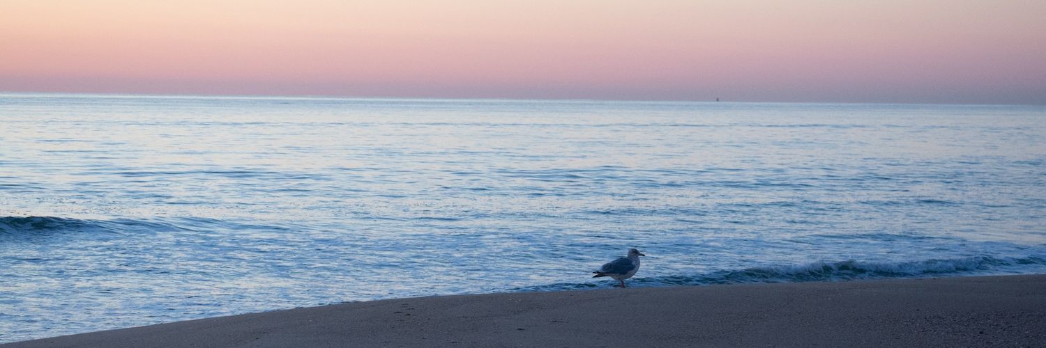 its_BRED_'s profile banner image