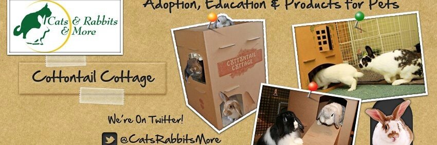 catsrabbitsmore's profile banner image