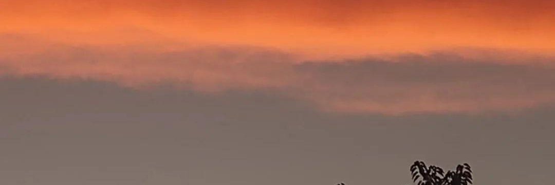 Yaguedu_'s profile banner image