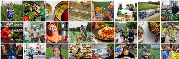 rikolto Profile Banner