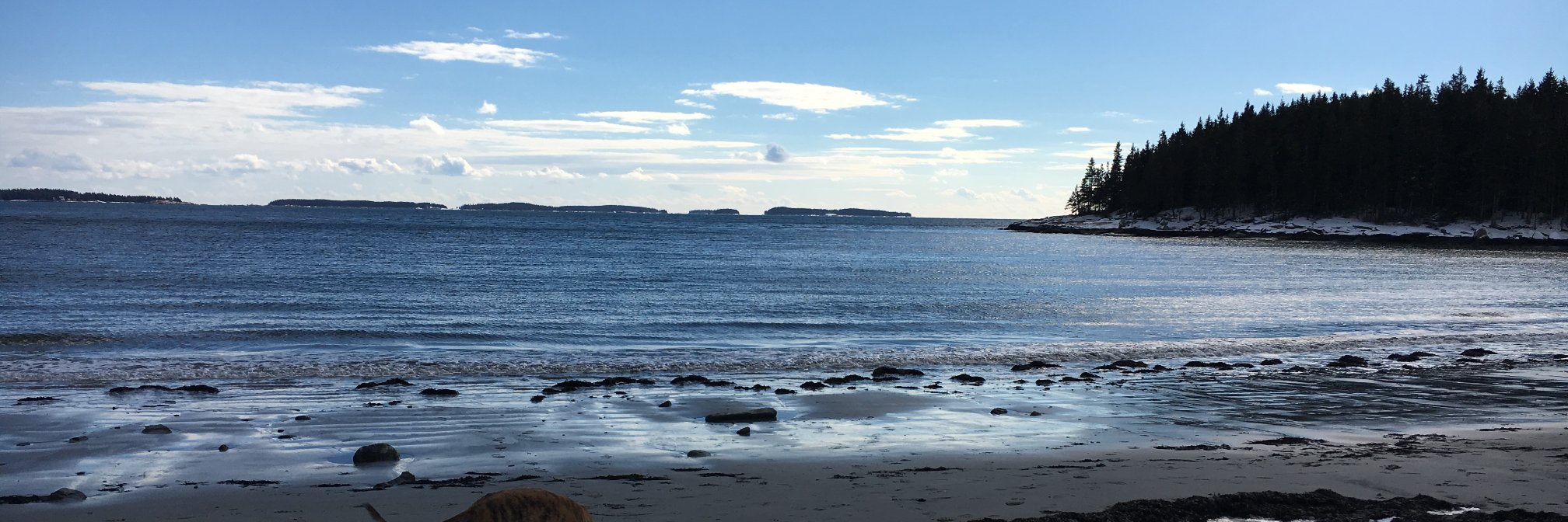 Arolerson's profile banner image
