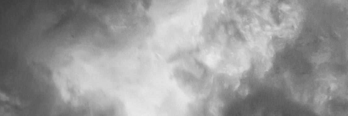 pismosummer's profile banner image
