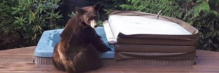 libbyriedl's profile banner image