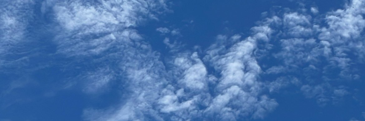 biatrances's profile banner image
