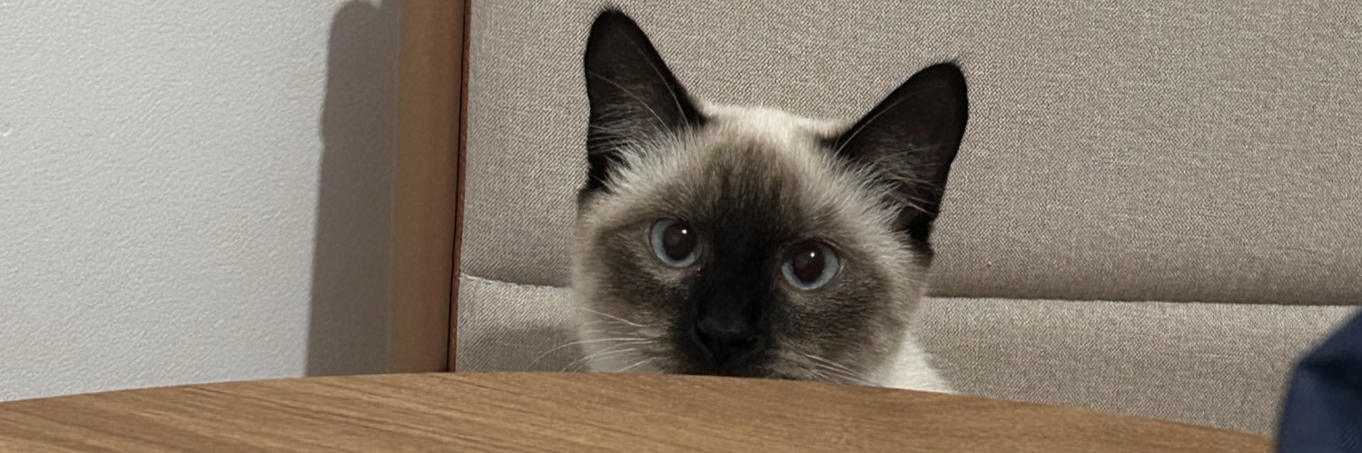 juldbkk's profile banner image