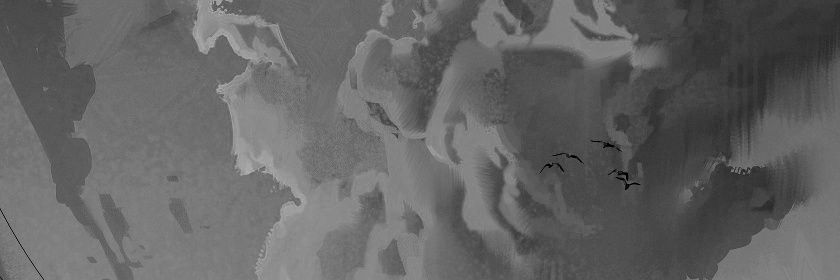 rapicazzo's profile banner image