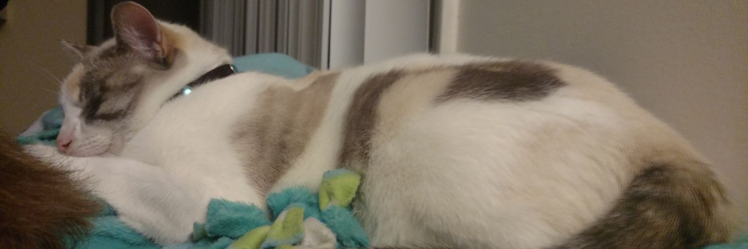 mirandafields32's profile banner image