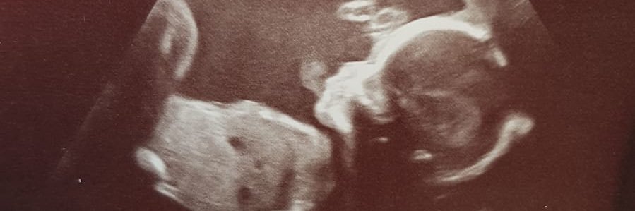 Jack Callaghan banner