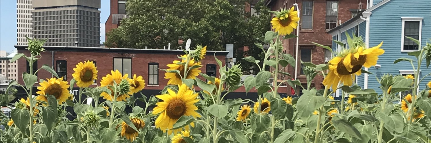 JennaGeisinger's profile banner image