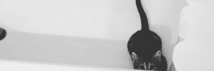 TheRealSluggy's profile banner image