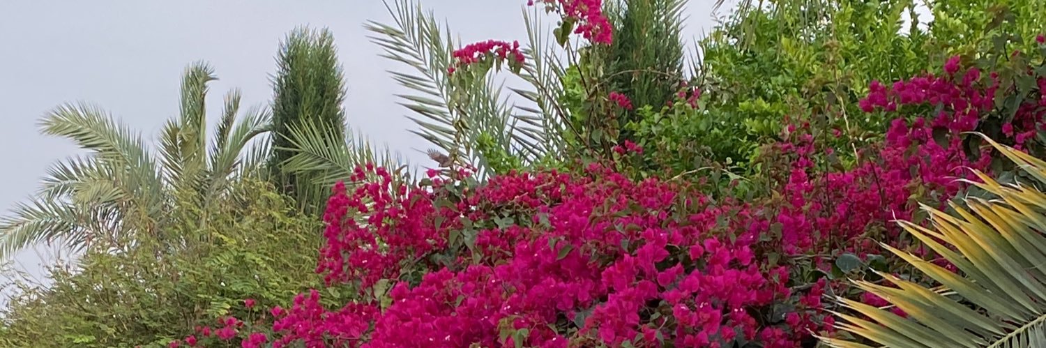 عبد العزيز آل داود banner