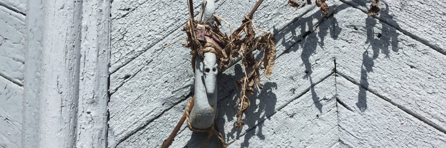 Idoia Torregarai banner