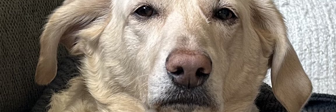 Samuel T.O. Branch banner