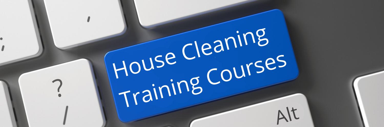 Savvy Cleaner banner