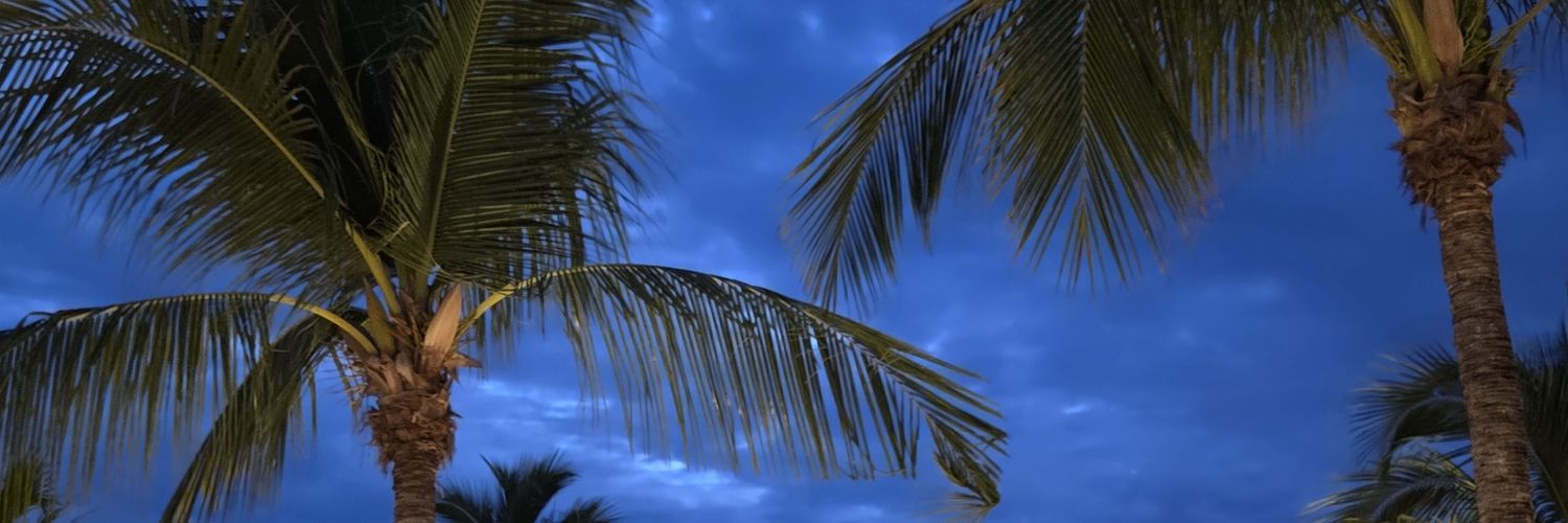 Noeestoy's profile banner image