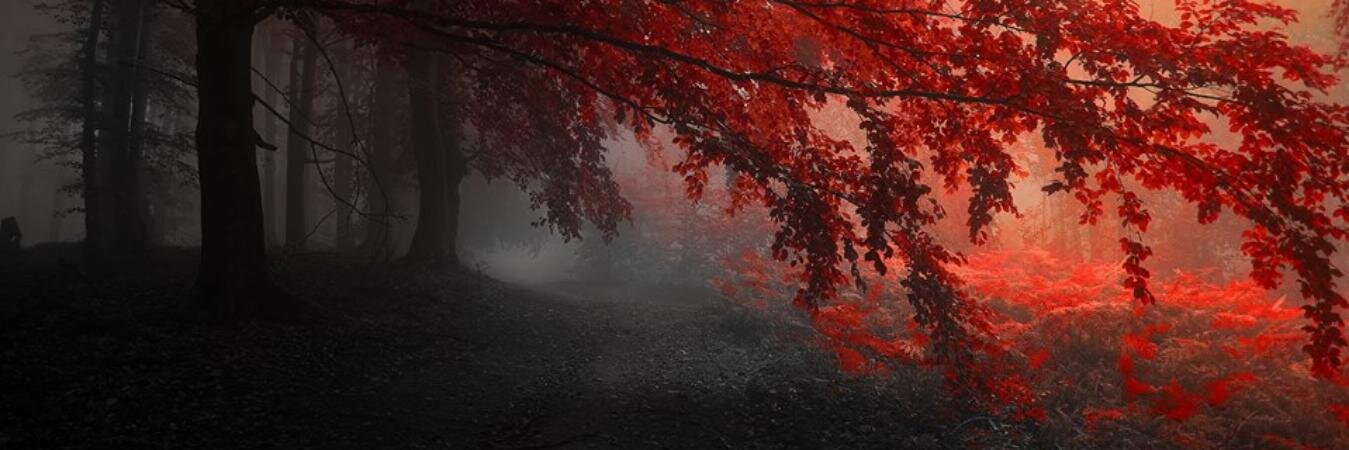 LadyAmdis's profile banner image