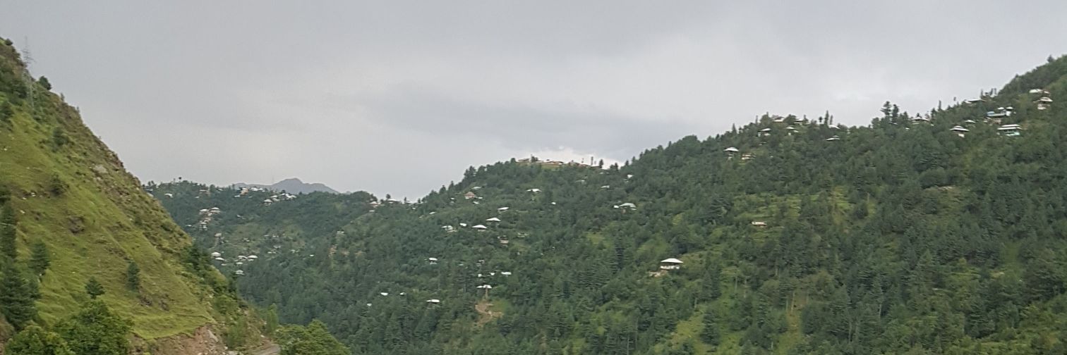 Najmuddin banner