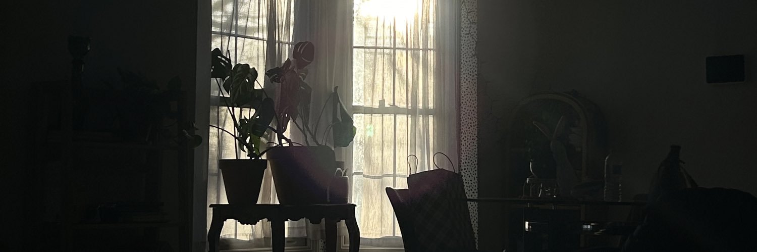 danimallll13's profile banner image