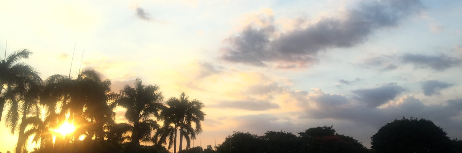iambowa's profile banner image