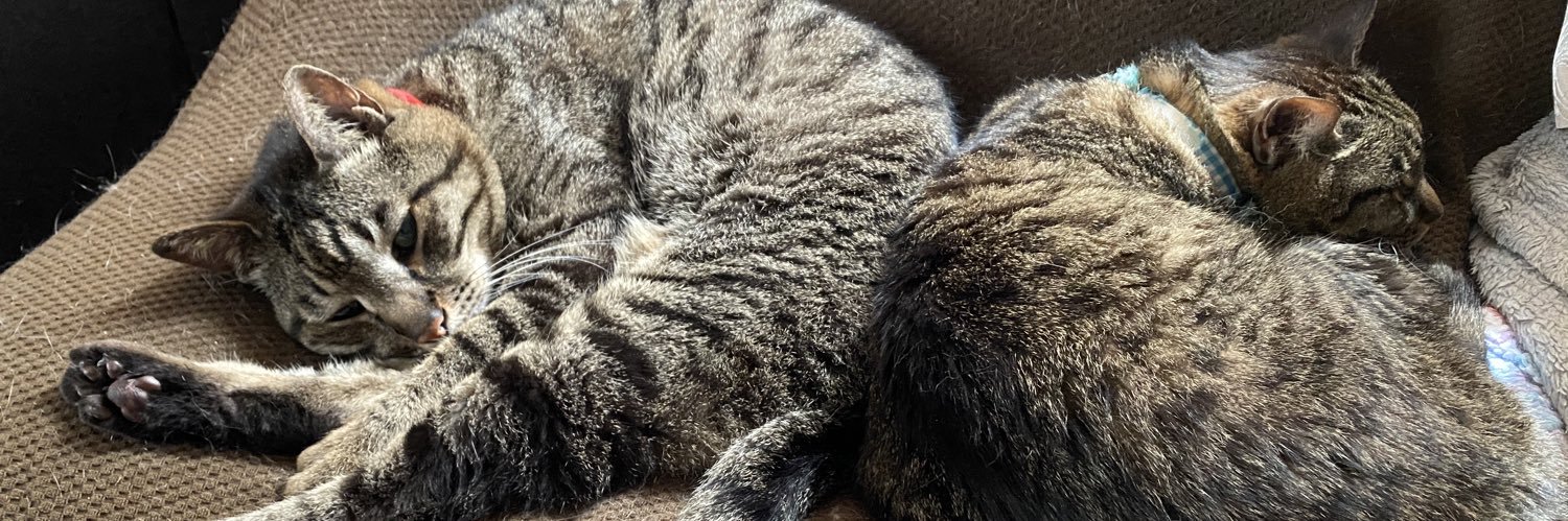 header image
