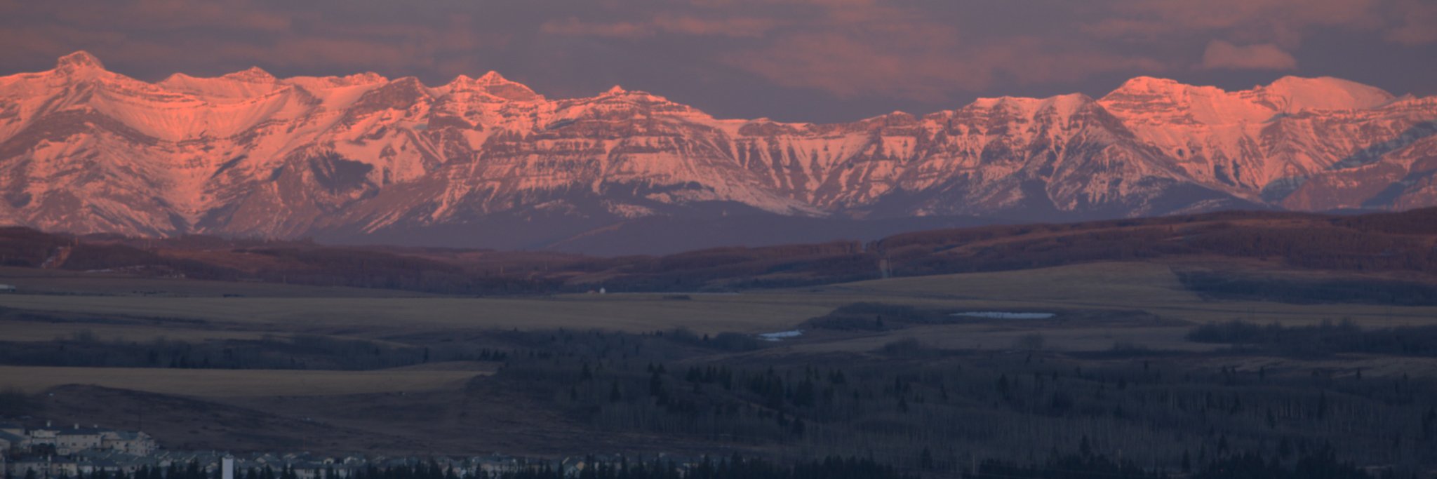 Cochrane-Online banner