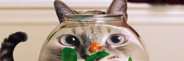 kein_unfug Profile Banner