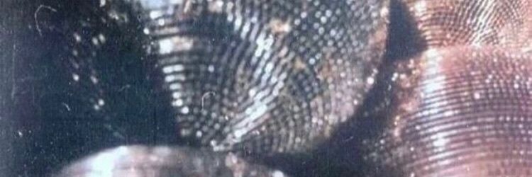 _onlyalan's profile banner image