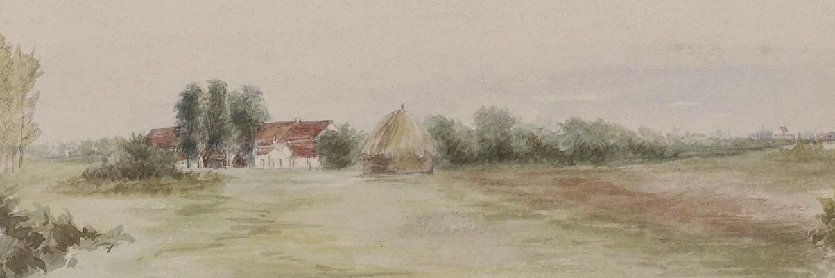 Bruno RONSSIN banner