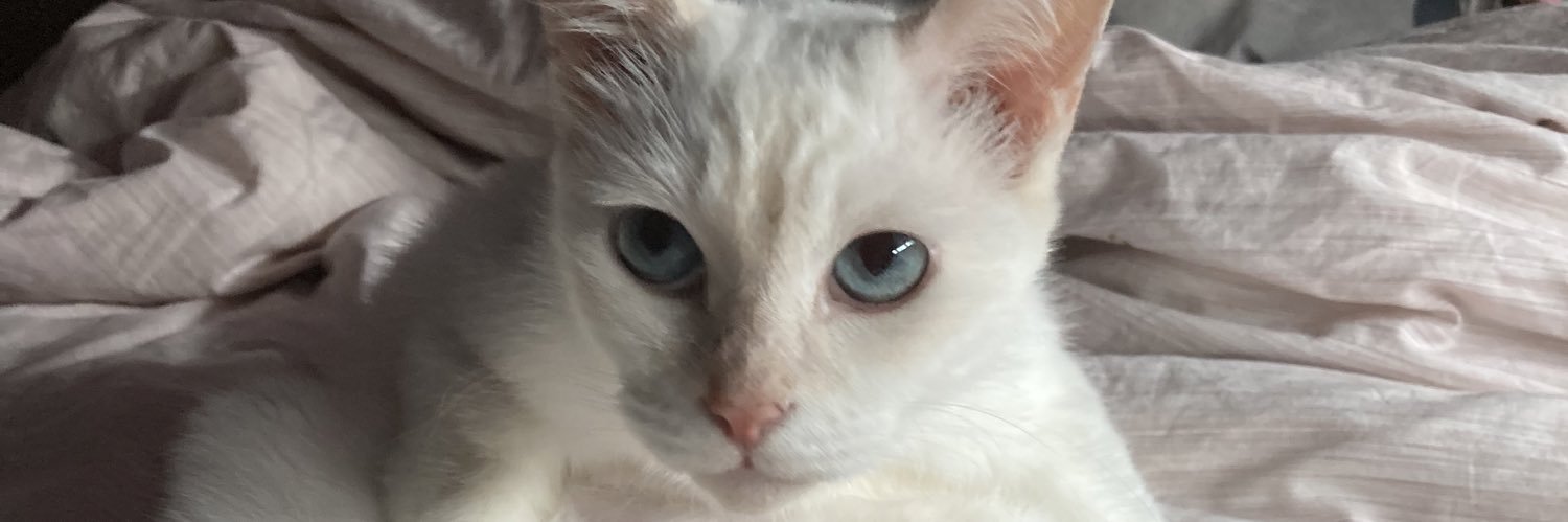 NismoBABY's profile banner image