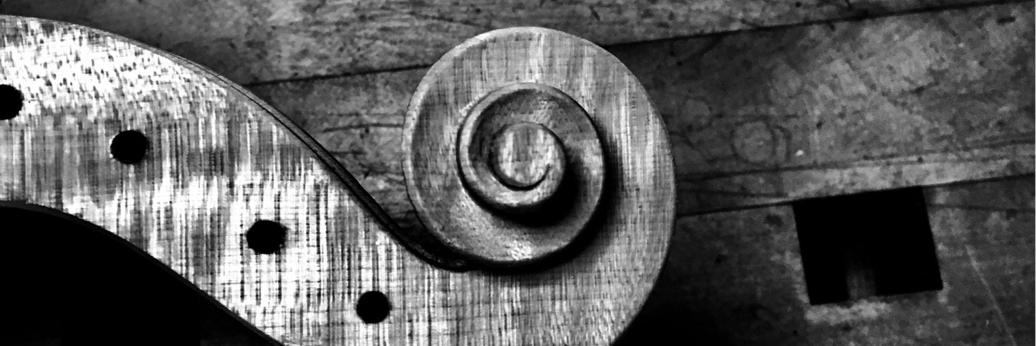ALoViolins's profile banner image