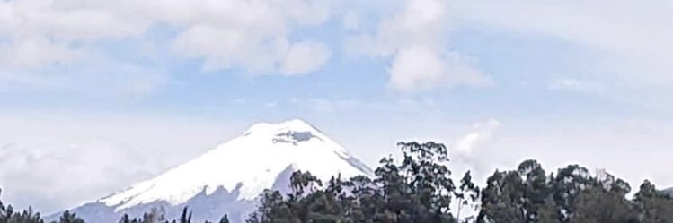 ciayvila's profile banner image