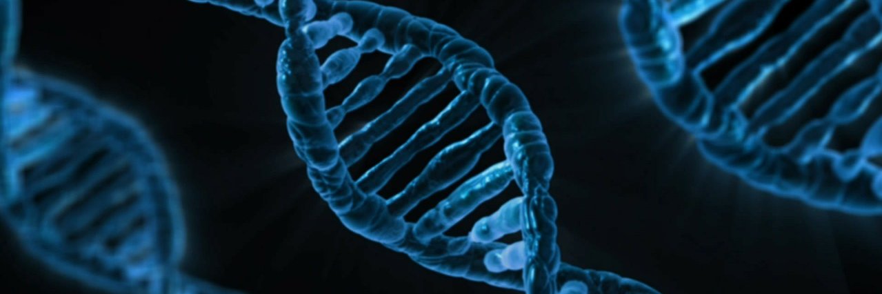 sysmedpd's profile banner image