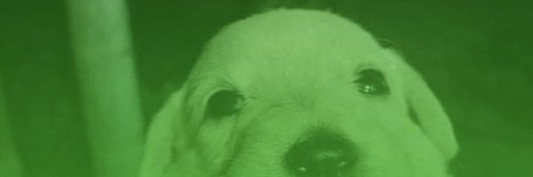 FernandoKunxd Profile Banner