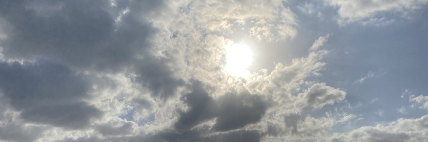 misslep's profile banner image