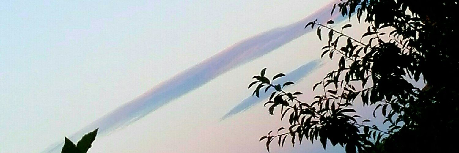 _sview's profile banner image