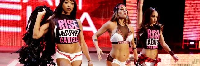 NikkiBella666's profile banner image