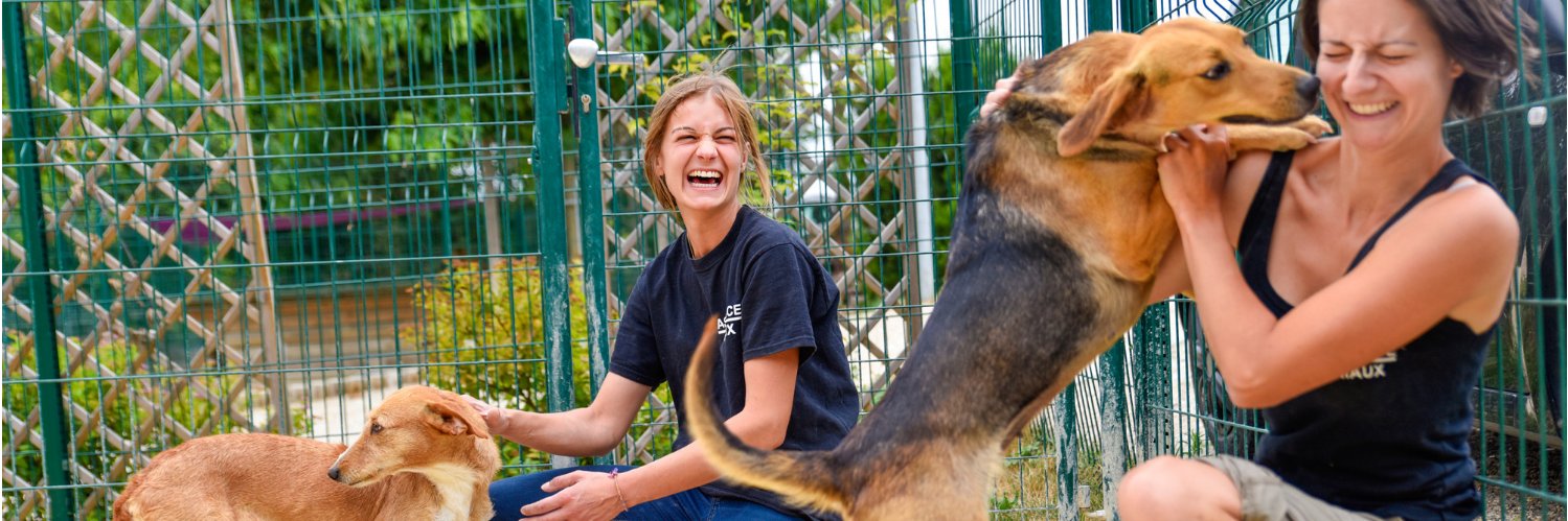 Fondation Assistance Aux Animaux banner