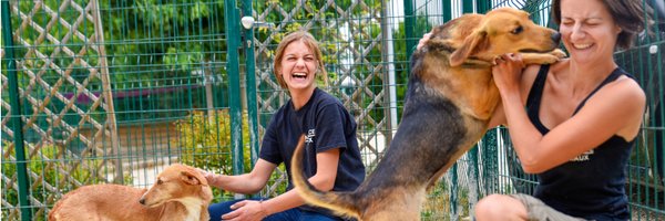 FAAOfficiel Profile Banner