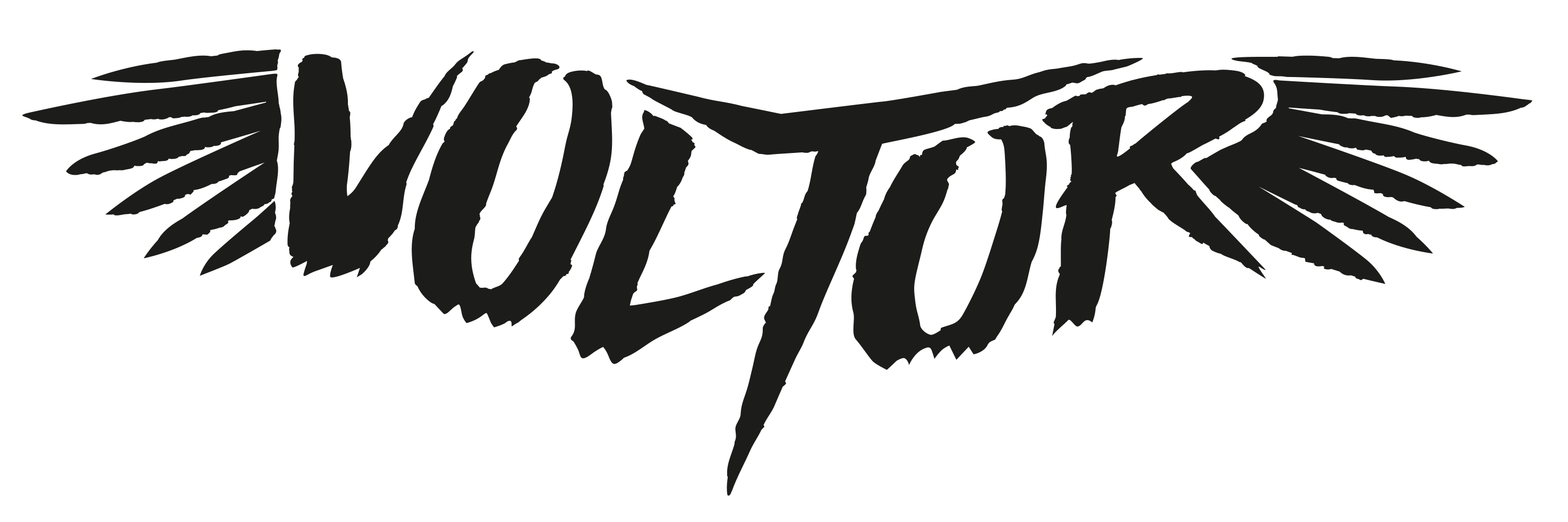 voltorHC's profile banner image