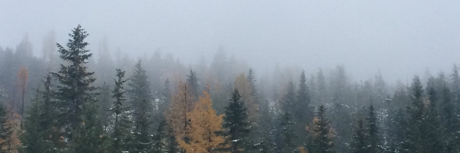 EvanMoore84's profile banner image