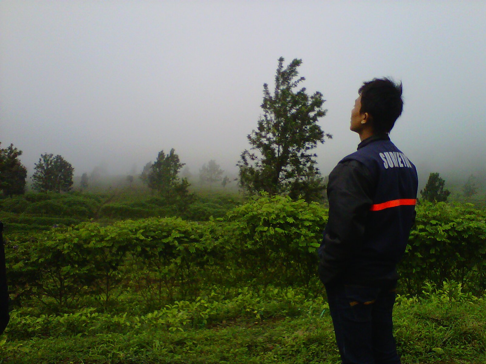 setiaziz's profile banner image