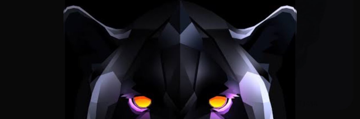 BustaRao's profile banner image