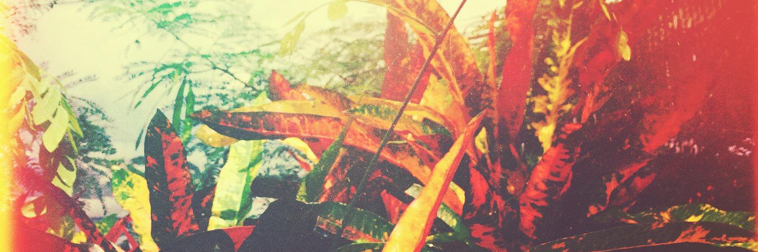 TheSoulCatalyst's profile banner image