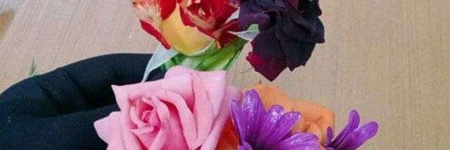 houadjizineb's profile banner image