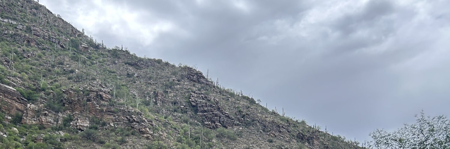 FaythAlexis's profile banner image